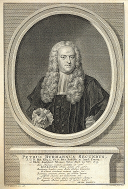 Burman II