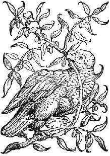 Bazel - Johannes Walderus